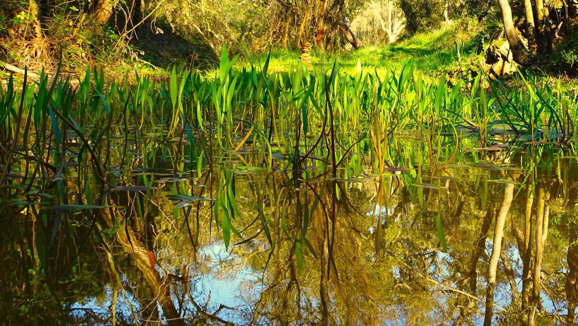 Herdade Vale De Gaios By Stay In Alentejo São Luis Dış mekan fotoğraf