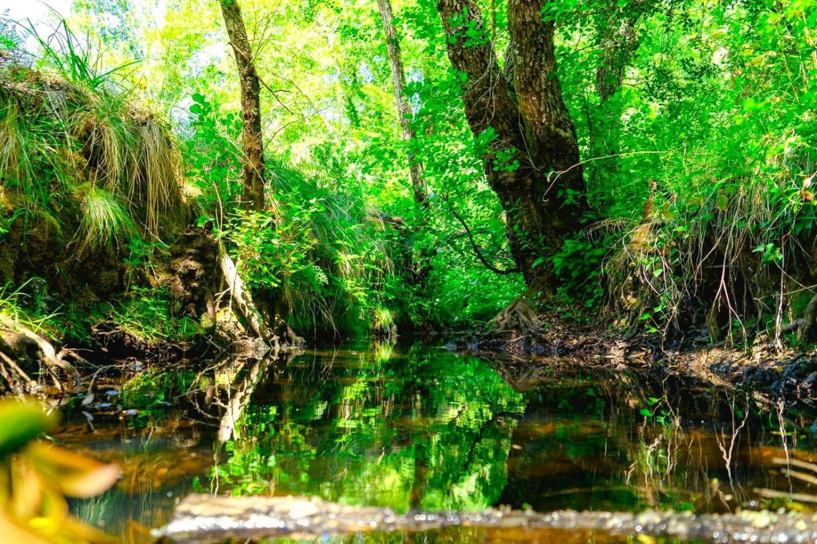 Herdade Vale De Gaios By Stay In Alentejo São Luis Dış mekan fotoğraf