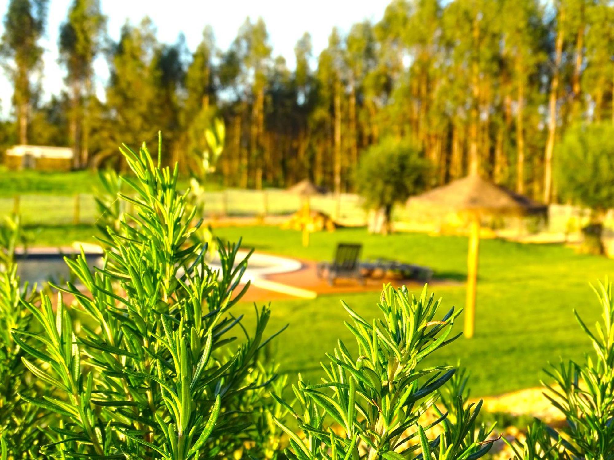 Herdade Vale De Gaios By Stay In Alentejo São Luis Dış mekan fotoğraf
