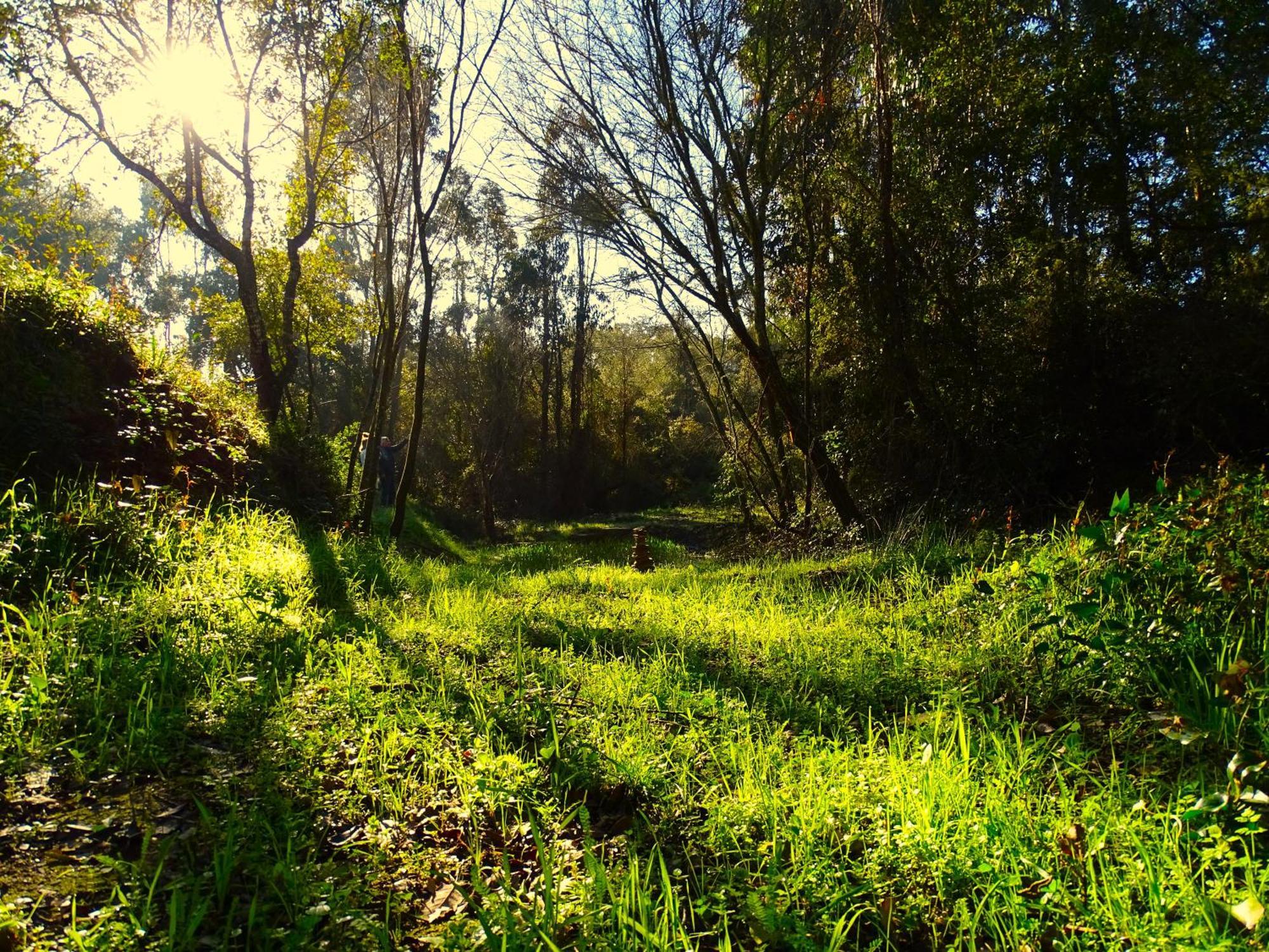 Herdade Vale De Gaios By Stay In Alentejo São Luis Dış mekan fotoğraf