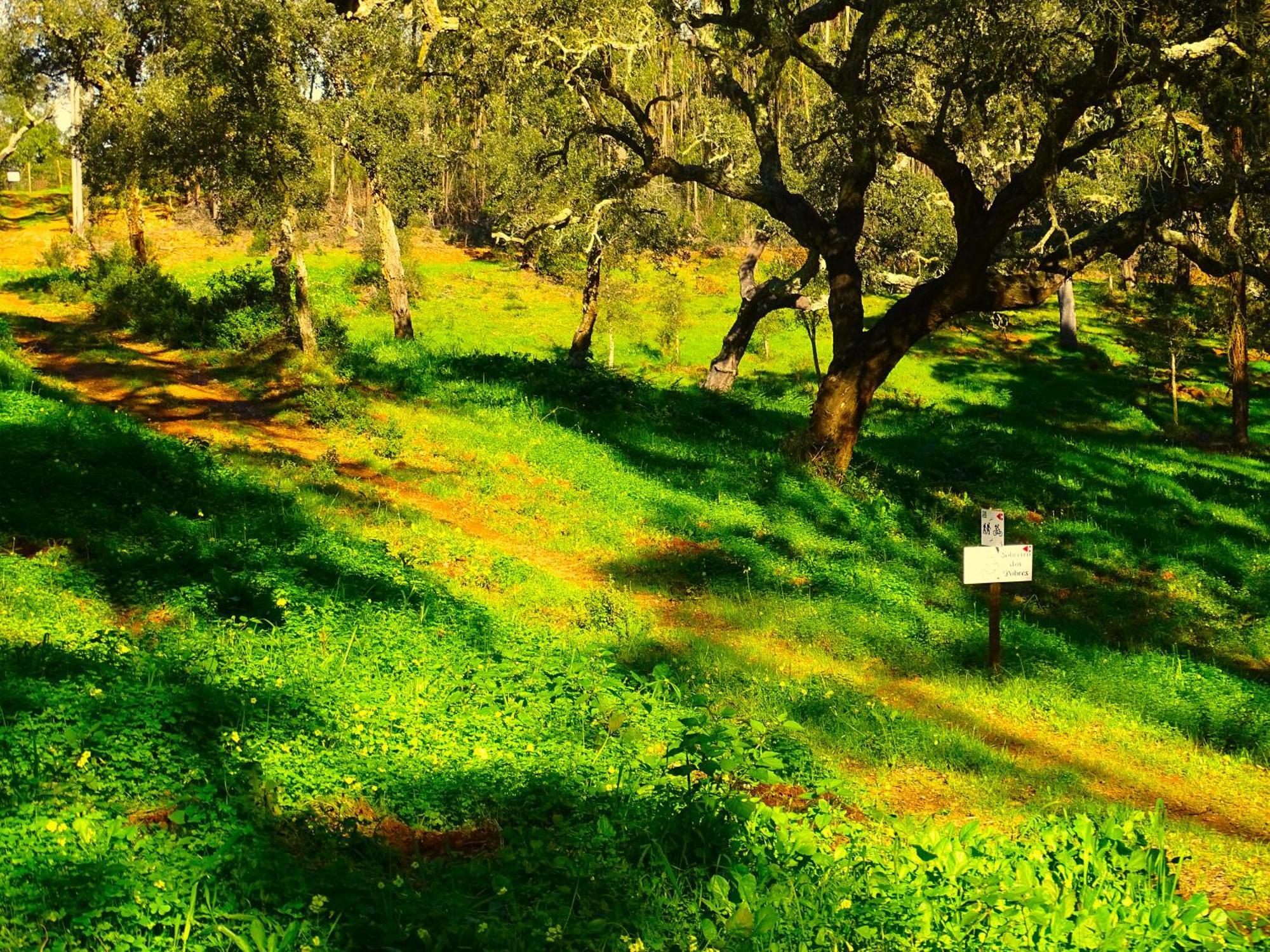 Herdade Vale De Gaios By Stay In Alentejo São Luis Dış mekan fotoğraf