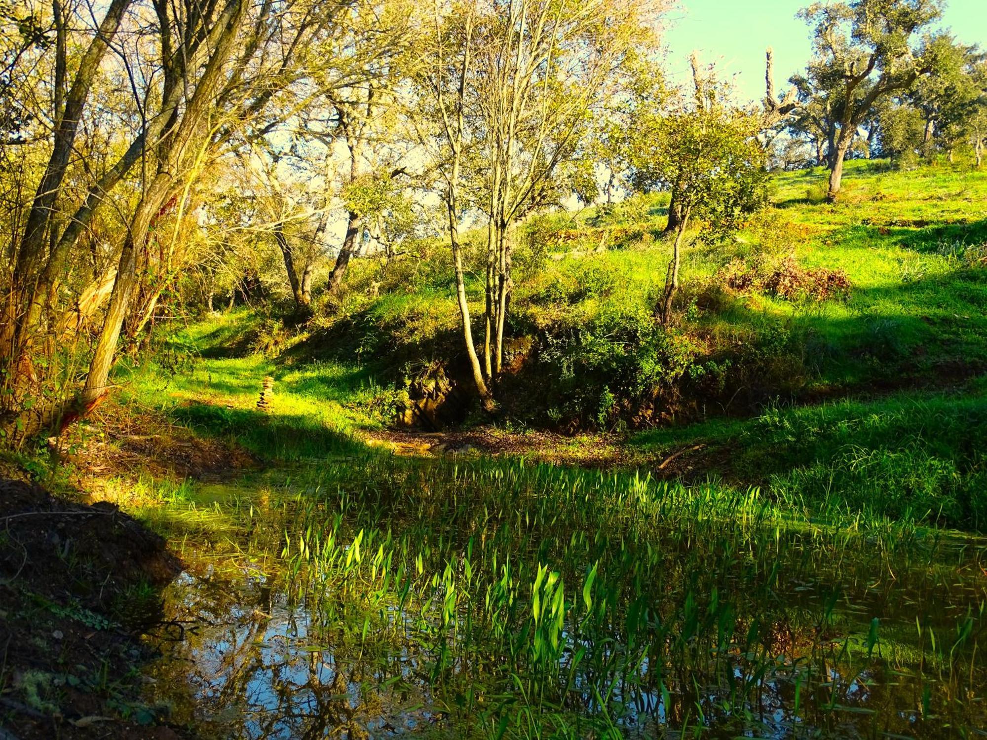 Herdade Vale De Gaios By Stay In Alentejo São Luis Dış mekan fotoğraf